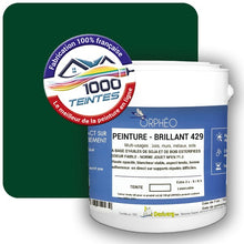 Charger l'image dans la galerie, Image générée par 1000-teintes.com - Le meilleur de la peintures en ligne !