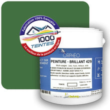 Charger l'image dans la galerie, Image générée par 1000-teintes.com - Le meilleur de la peintures en ligne !