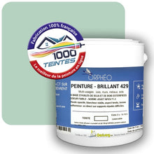 Charger l'image dans la galerie, Image générée par 1000-teintes.com - Le meilleur de la peintures en ligne !