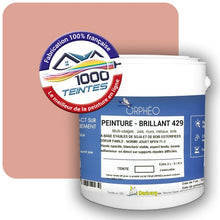 Charger l'image dans la galerie, Image générée par 1000-teintes.com - Le meilleur de la peintures en ligne !