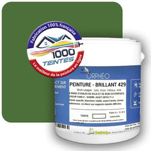 Charger l'image dans la galerie, Image générée par 1000-teintes.com - Le meilleur de la peintures en ligne !