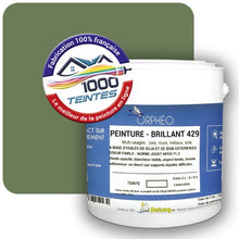 Charger l'image dans la galerie, Image générée par 1000-teintes.com - Le meilleur de la peintures en ligne !