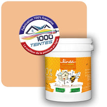 Charger l'image dans la galerie, Image produite par 1000-teintes.com - Le meilleur de la peintures en ligne !