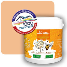 Charger l'image dans la galerie, Image produite par 1000-teintes.com - Le meilleur de la peintures en ligne !