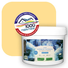 Charger l'image dans la galerie, Peinture écologique Natura Tassili® Les Jaunes (L'Atelier by Edicolor 077B/077-B/077B1) Intérieur/Extérieur MAT