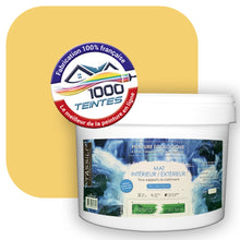 Charger l'image dans la galerie, Peinture écologique Natura Tassili® Les Jaunes (L'Atelier by Edicolor 079C/079-C/079C1) Intérieur/Extérieur MAT
