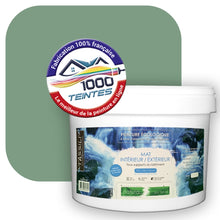 Charger l'image dans la galerie, Peinture écologique Natura Tassili® Les Verts (L'Atelier by Edicolor 181D/181-D/181D1) Intérieur/Extérieur MAT
