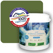 Charger l'image dans la galerie, Image générée par 1000-teintes.com - Le meilleur de la peintures en ligne !