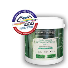 Charger l'image dans la galerie, Image générée par 1000-teintes.com - Le meilleur de la peintures en ligne !