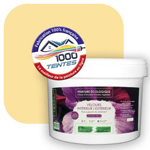 Charger l'image dans la galerie, Peinture écologique Natura Tassili® Les Jaunes (L'Atelier by Edicolor 077A/077-A/077A1) Intérieur/Extérieur VELOURS