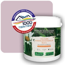 Charger l'image dans la galerie, Image générée par 1000-teintes.com - Le meilleur de la peintures en ligne !