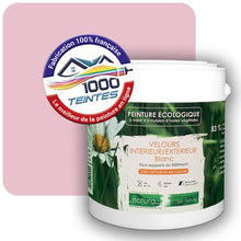 Charger l'image dans la galerie, Image générée par 1000-teintes.com - Le meilleur de la peintures en ligne !