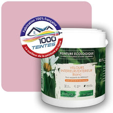 Charger l'image dans la galerie, Image générée par 1000-teintes.com - Le meilleur de la peintures en ligne !