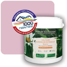 Charger l'image dans la galerie, Image générée par 1000-teintes.com - Le meilleur de la peintures en ligne !