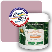 Charger l'image dans la galerie, Image générée par 1000-teintes.com - Le meilleur de la peintures en ligne !