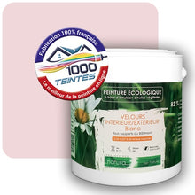 Charger l'image dans la galerie, Image générée par 1000-teintes.com - Le meilleur de la peintures en ligne !