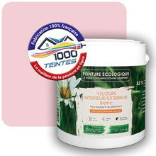 Charger l'image dans la galerie, Image générée par 1000-teintes.com - Le meilleur de la peintures en ligne !