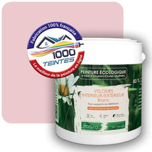 Charger l'image dans la galerie, Image générée par 1000-teintes.com - Le meilleur de la peintures en ligne !