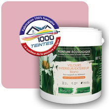 Charger l'image dans la galerie, Image générée par 1000-teintes.com - Le meilleur de la peintures en ligne !