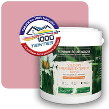 Charger l'image dans la galerie, Image générée par 1000-teintes.com - Le meilleur de la peintures en ligne !