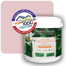 Charger l'image dans la galerie, Image générée par 1000-teintes.com - Le meilleur de la peintures en ligne !