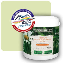 Charger l'image dans la galerie, Image générée par 1000-teintes.com - Le meilleur de la peintures en ligne !