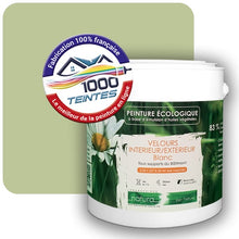 Charger l'image dans la galerie, Image générée par 1000-teintes.com - Le meilleur de la peintures en ligne !