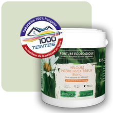 Charger l'image dans la galerie, Image générée par 1000-teintes.com - Le meilleur de la peintures en ligne !