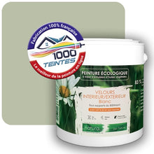 Charger l'image dans la galerie, Image générée par 1000-teintes.com - Le meilleur de la peintures en ligne !