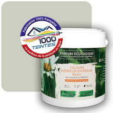 Charger l'image dans la galerie, Image générée par 1000-teintes.com - Le meilleur de la peintures en ligne !