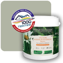 Charger l'image dans la galerie, Image générée par 1000-teintes.com - Le meilleur de la peintures en ligne !