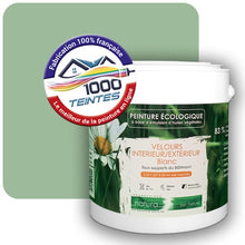 Charger l'image dans la galerie, Image générée par 1000-teintes.com - Le meilleur de la peintures en ligne !