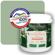 Charger l'image dans la galerie, Image générée par 1000-teintes.com - Le meilleur de la peintures en ligne !