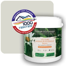 Charger l'image dans la galerie, Image générée par 1000-teintes.com - Le meilleur de la peintures en ligne !