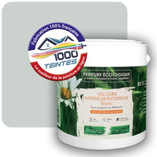 Charger l'image dans la galerie, Image générée par 1000-teintes.com - Le meilleur de la peintures en ligne !