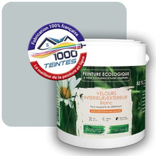 Charger l'image dans la galerie, Image générée par 1000-teintes.com - Le meilleur de la peintures en ligne !