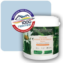 Charger l'image dans la galerie, Image générée par 1000-teintes.com - Le meilleur de la peintures en ligne !