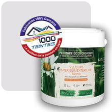 Charger l'image dans la galerie, Image générée par 1000-teintes.com - Le meilleur de la peintures en ligne !