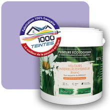 Charger l'image dans la galerie, Image générée par 1000-teintes.com - Le meilleur de la peintures en ligne !