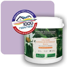 Charger l'image dans la galerie, Image générée par 1000-teintes.com - Le meilleur de la peintures en ligne !