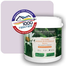 Charger l'image dans la galerie, Image générée par 1000-teintes.com - Le meilleur de la peintures en ligne !