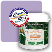 Charger l'image dans la galerie, Image générée par 1000-teintes.com - Le meilleur de la peintures en ligne !