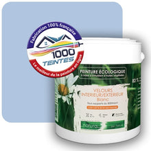 Charger l'image dans la galerie, Image générée par 1000-teintes.com - Le meilleur de la peintures en ligne !