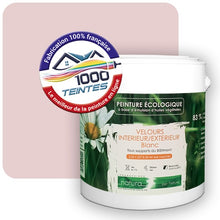 Charger l'image dans la galerie, Image générée par 1000-teintes.com - Le meilleur de la peintures en ligne !