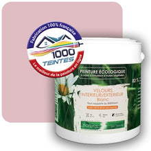 Charger l'image dans la galerie, Image générée par 1000-teintes.com - Le meilleur de la peintures en ligne !