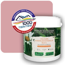 Charger l'image dans la galerie, Image générée par 1000-teintes.com - Le meilleur de la peintures en ligne !