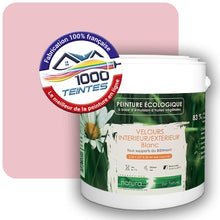 Charger l'image dans la galerie, Image générée par 1000-teintes.com - Le meilleur de la peintures en ligne !