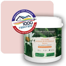 Charger l'image dans la galerie, Image générée par 1000-teintes.com - Le meilleur de la peintures en ligne !