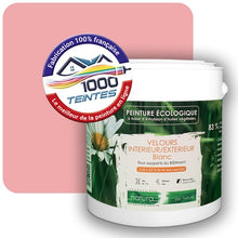 Charger l'image dans la galerie, Image générée par 1000-teintes.com - Le meilleur de la peintures en ligne !