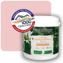 Charger l'image dans la galerie, Image générée par 1000-teintes.com - Le meilleur de la peintures en ligne !